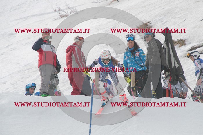 IMG_4463.JPG