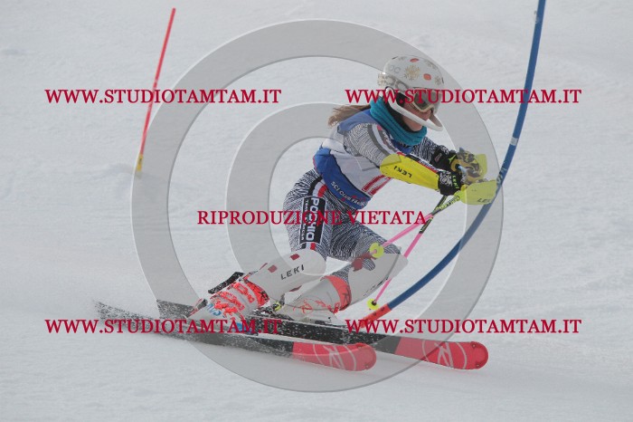 IMG_4477.JPG