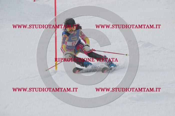 IMG_4486.JPG