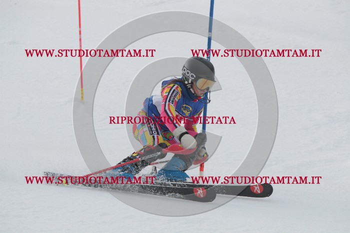 IMG_4492.JPG