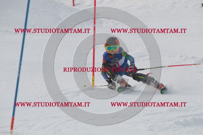 IMG_4566.JPG