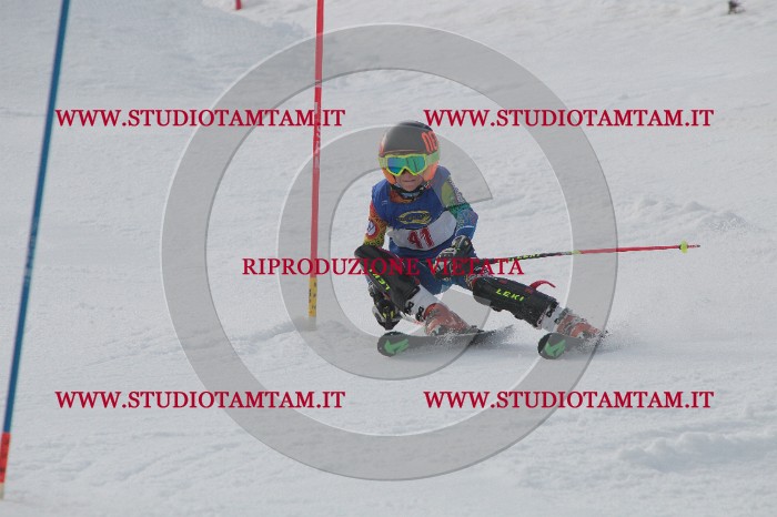 IMG_4567.JPG
