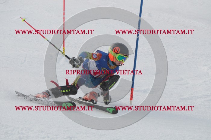 IMG_4572.JPG