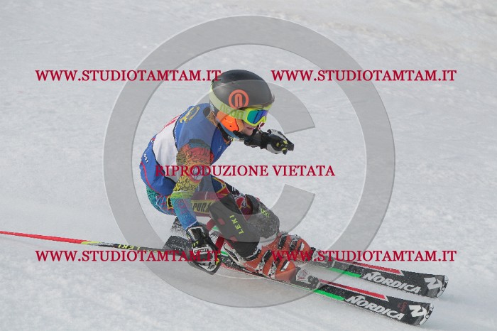 IMG_4575.JPG