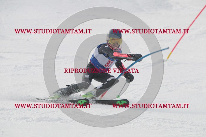 IMG_4585.JPG