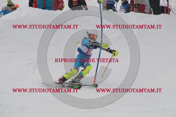 IMG_4628.JPG