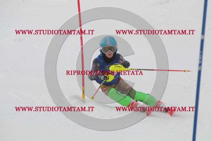 IMG_4701.JPG