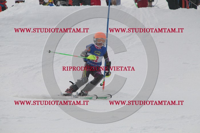 IMG_4768.JPG