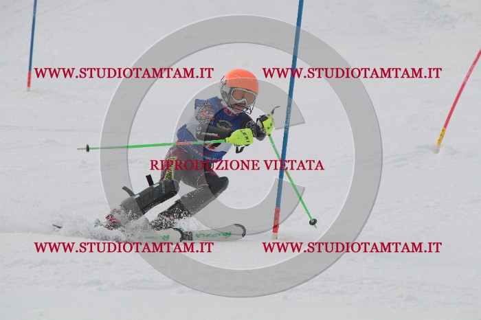 IMG_4772.JPG
