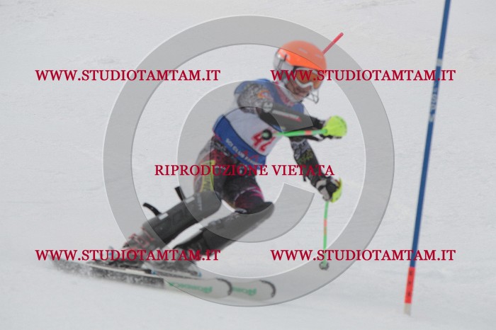 IMG_4776.JPG
