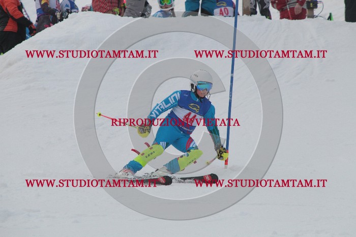 IMG_4836.JPG