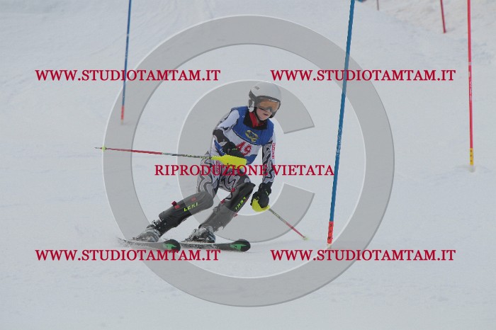IMG_4851.JPG