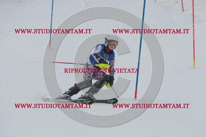 IMG_4852.JPG