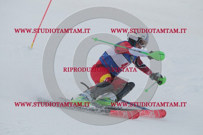 IMG_4871.JPG