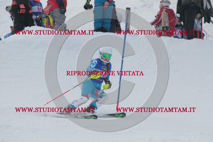 IMG_4879.JPG