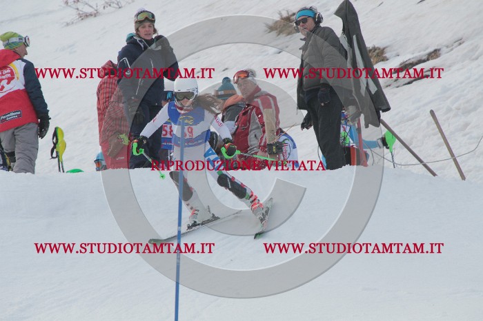 IMG_4891.JPG