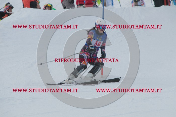 IMG_4912.JPG