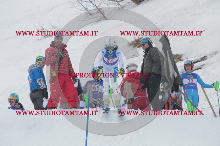 IMG_4925.JPG