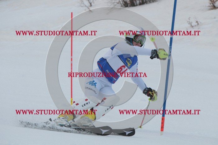 IMG_4938.JPG