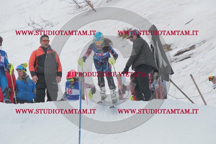 IMG_4971.JPG