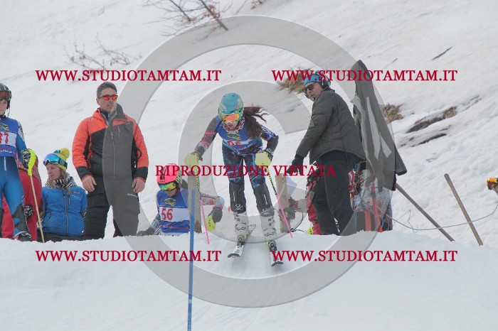 IMG_4972.JPG