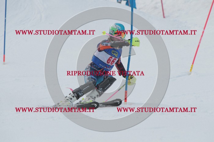 IMG_4978.JPG