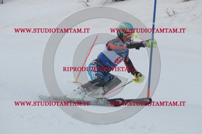 IMG_4982.JPG