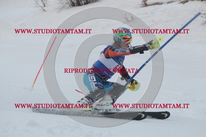 IMG_4983.JPG