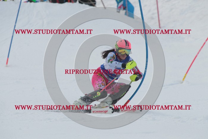 IMG_4994.JPG