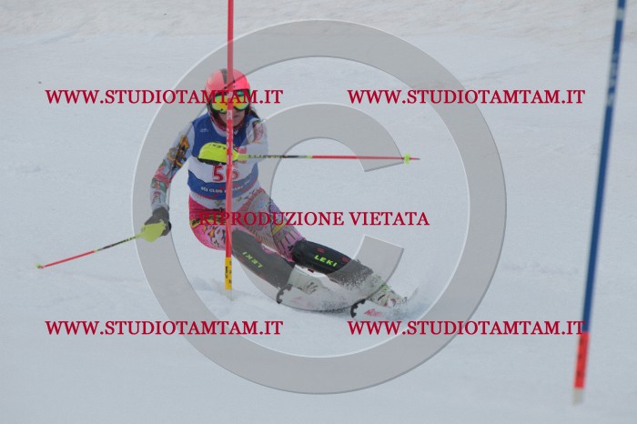 IMG_4996.JPG