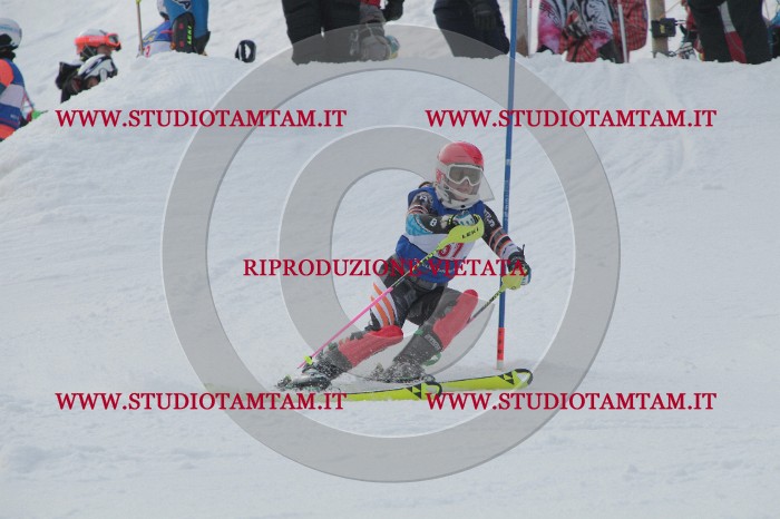 IMG_5003.JPG