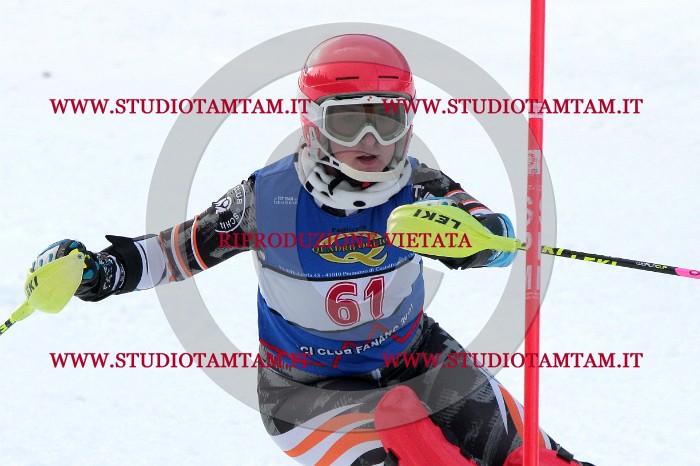 IMG_5010b.jpg