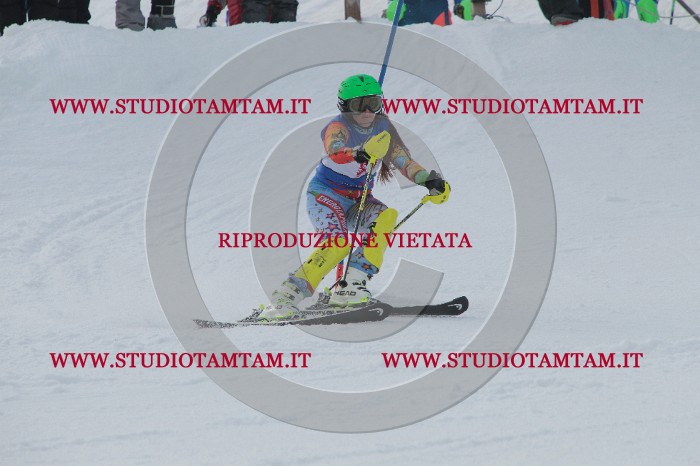 IMG_5100.JPG