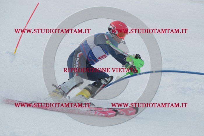 IMG_5185.JPG