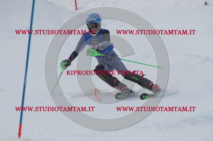 IMG_5239.JPG