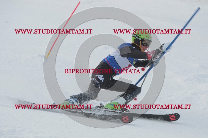IMG_5259.JPG