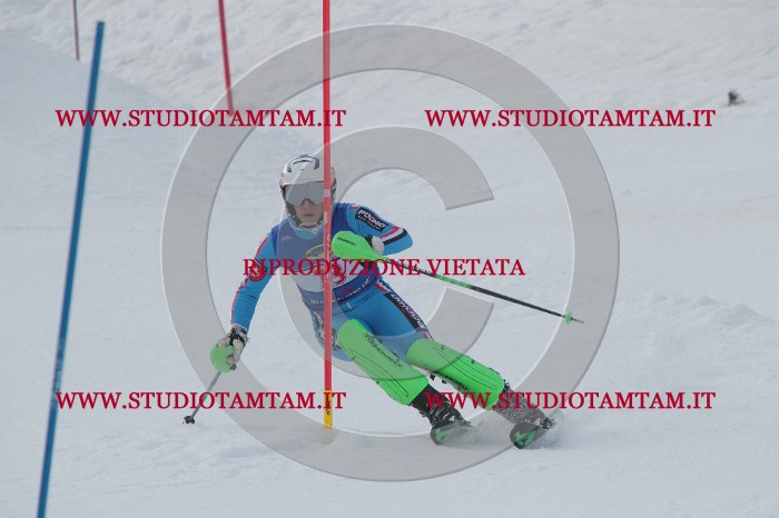 IMG_5267.JPG