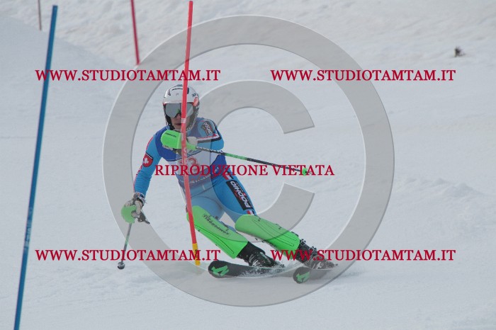 IMG_5268.JPG