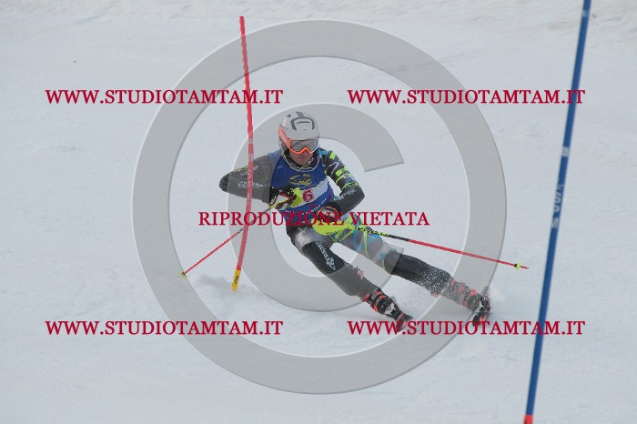 IMG_5290.JPG
