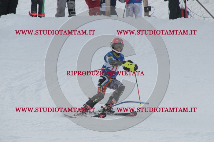 IMG_5328.JPG