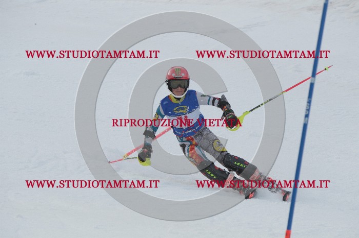 IMG_5334.JPG
