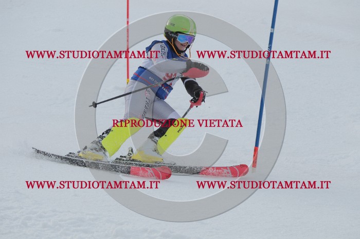 IMG_5350.JPG