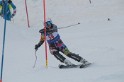 IMG_4915