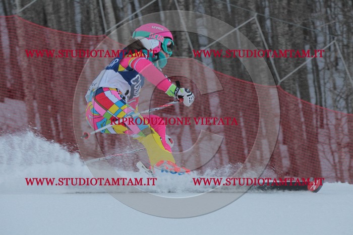 IMG_5671.JPG