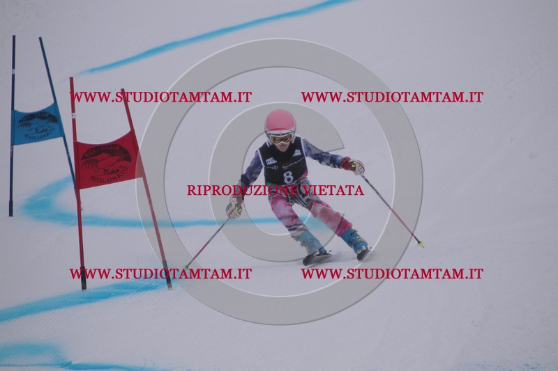 IMG_7070.JPG