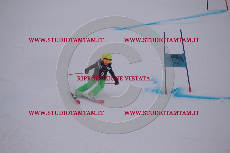 IMG_7079.JPG