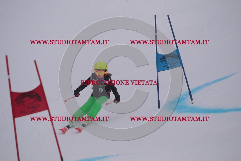IMG_7084.JPG