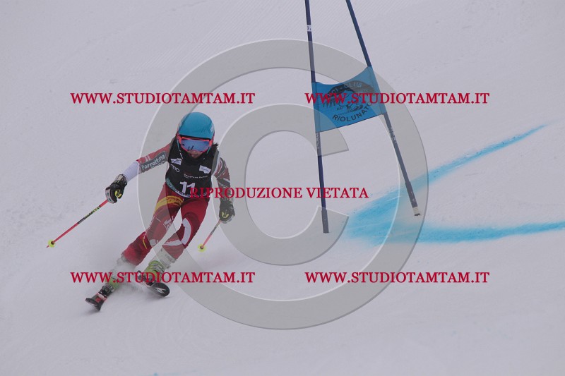 IMG_7114.JPG