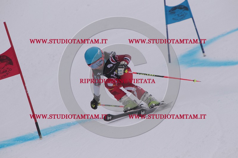 IMG_7115.JPG
