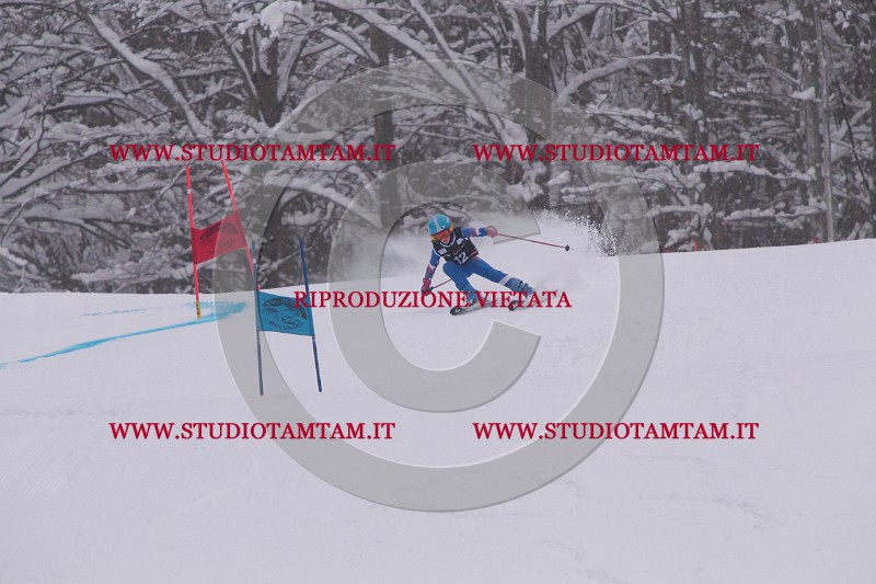IMG_7118.JPG